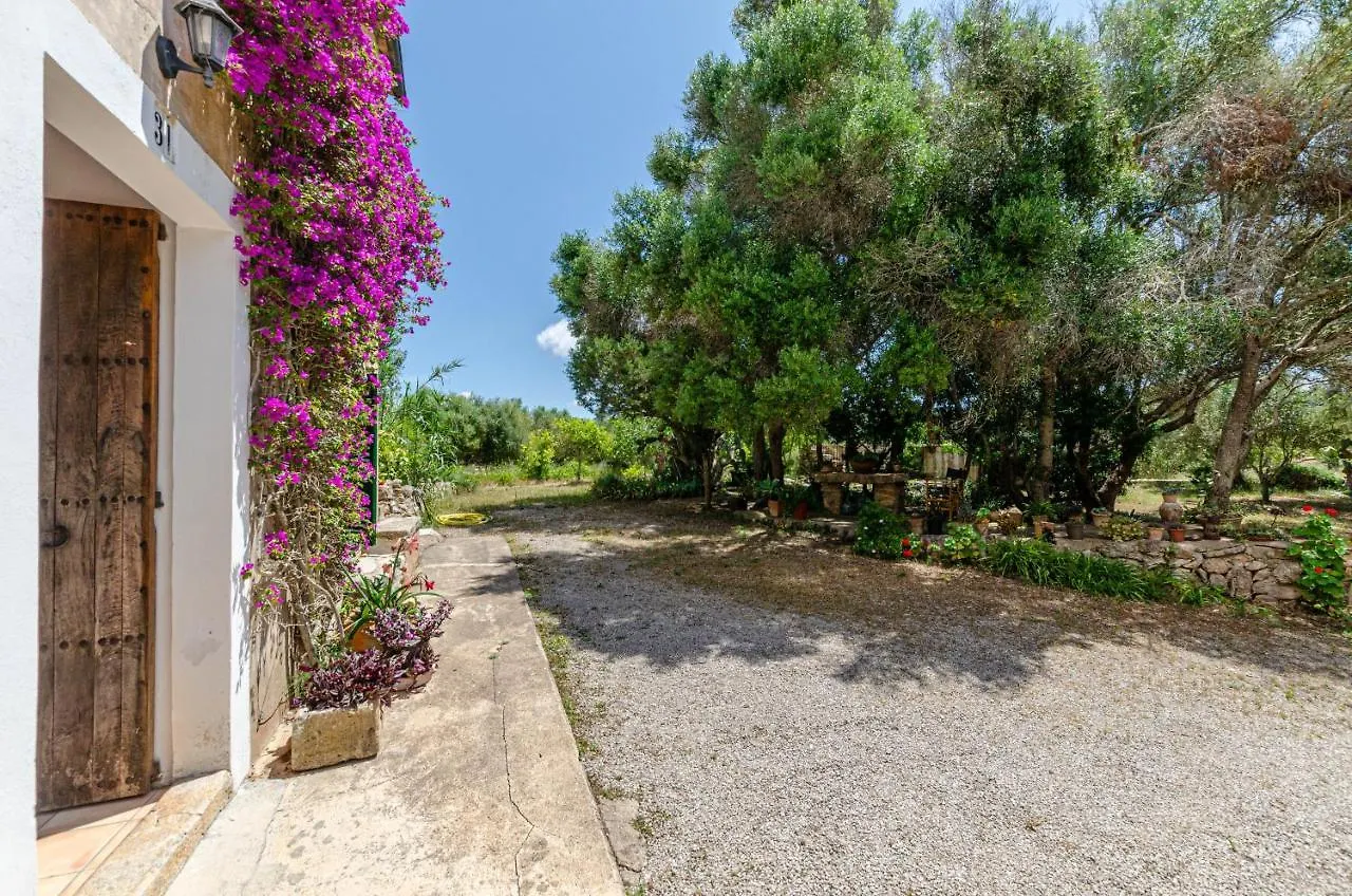 Finca Es Galliner Felanitx